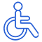 Handicap